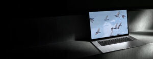 Laptop mit hellem Bildschirm, auf dem Vögel fliegen, vor dunklem Hintergrund. Ideal für Technologie- und Naturthemen.