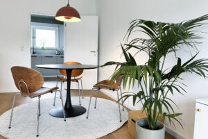 Moderne Essbereich mit einem runden Tisch, drei Holzstühlen und einer großen Zimmerpflanze. Die helle, minimalistische Gestaltung wird durch einen stilvollen Lampenschirm ergänzt. Im Hintergrund ist eine Küche sichtbar, die durch ein offenes Türdesign verbunden ist.